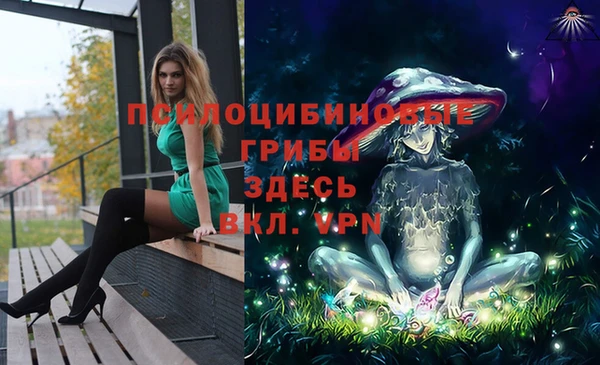 гидропоника Заводоуковск