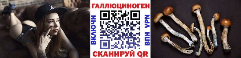 цены наркотик  Озёрск  Псилоцибиновые грибы ЛСД 
